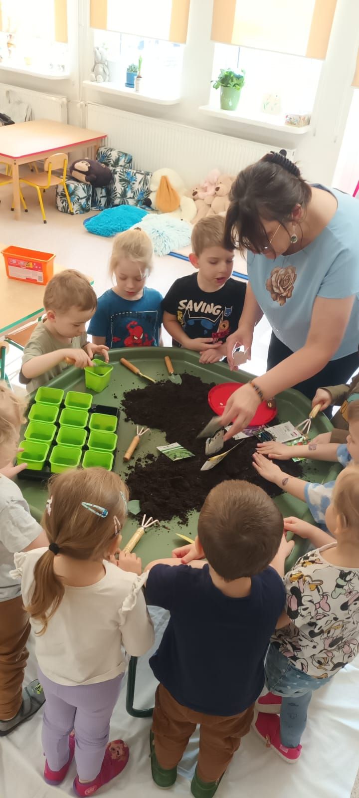 Galeria zdjęć: sadzimy nasionka